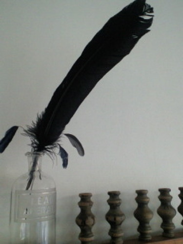 201201301535000.jpg