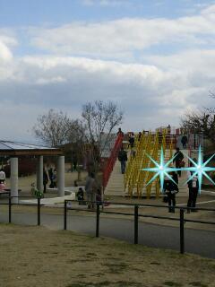 20140227_124918.jpg
