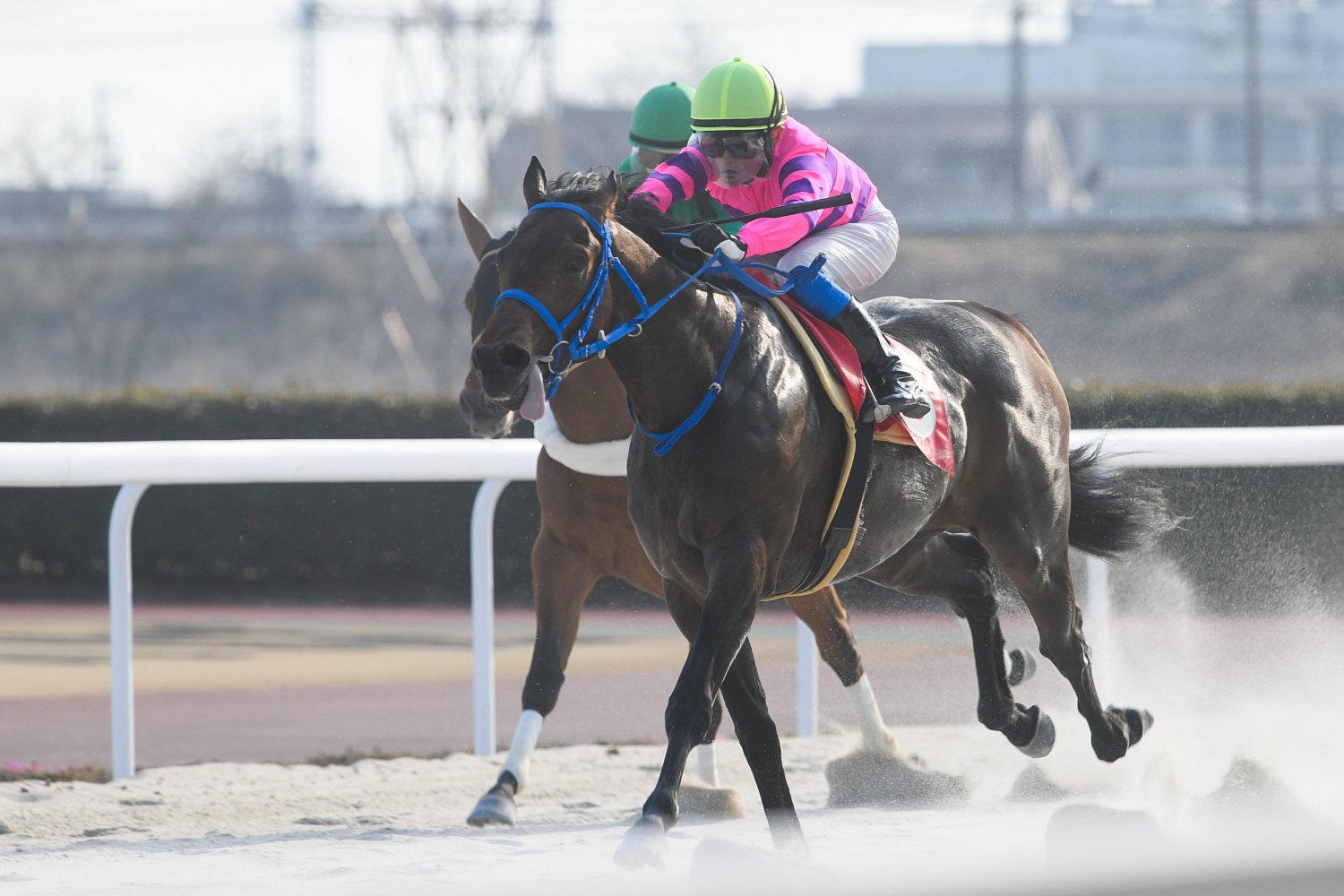 貫太初勝利駒野ｂ.jpg