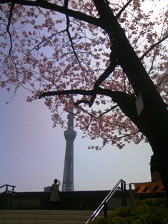 卯月　平成中村座　初日 053.JPG