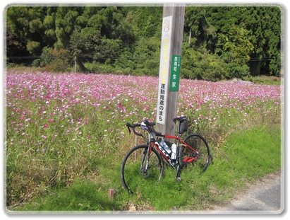 0702R50（田所国府線）沿線風景_0702.jpg