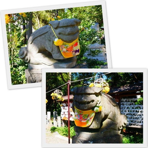 2020-09-04習志野 菊田神社1.jpg