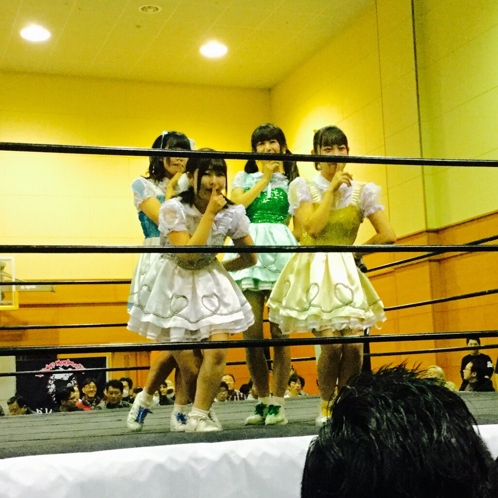 プロレス１９ａ.jpg