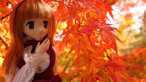 南禅寺　紅葉　 陽菜ちゃん.jpg