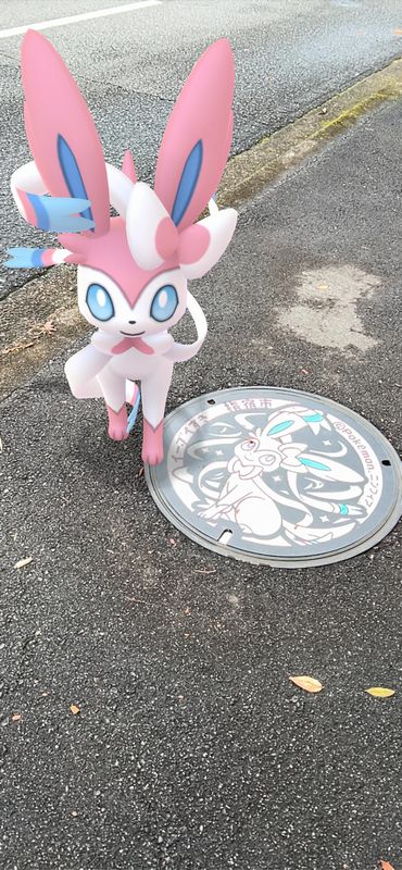 ポケモン_06_ニンフィア2.jpg