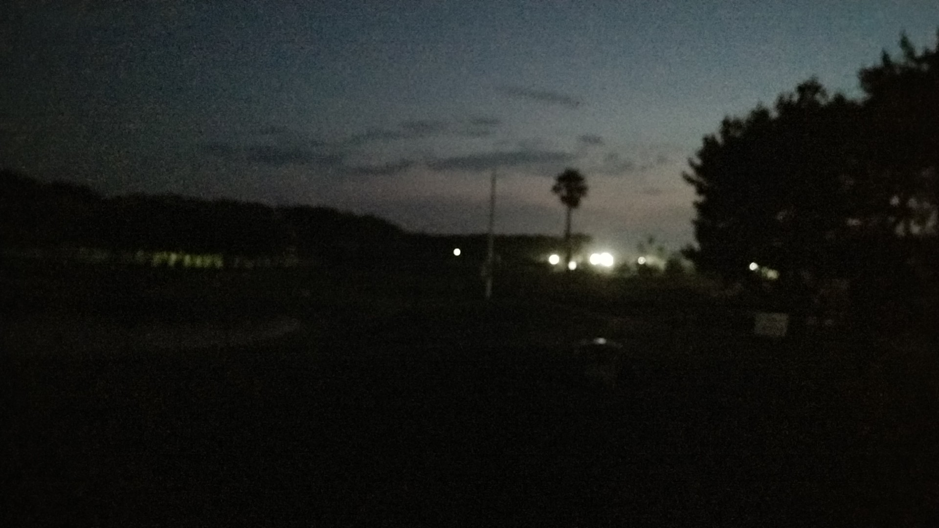 20190725  DSC_0002.jpg.jpg