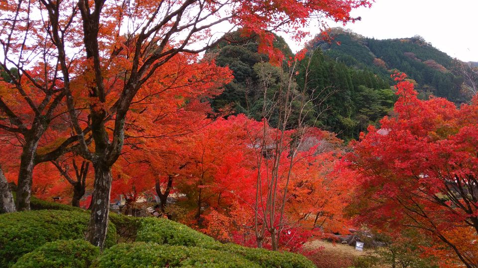 中津ダム渓石園 (19).jpg