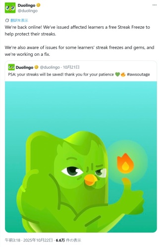 duolingo after AWS glitch.jpg