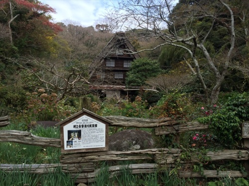 20141126 11402501.JPG