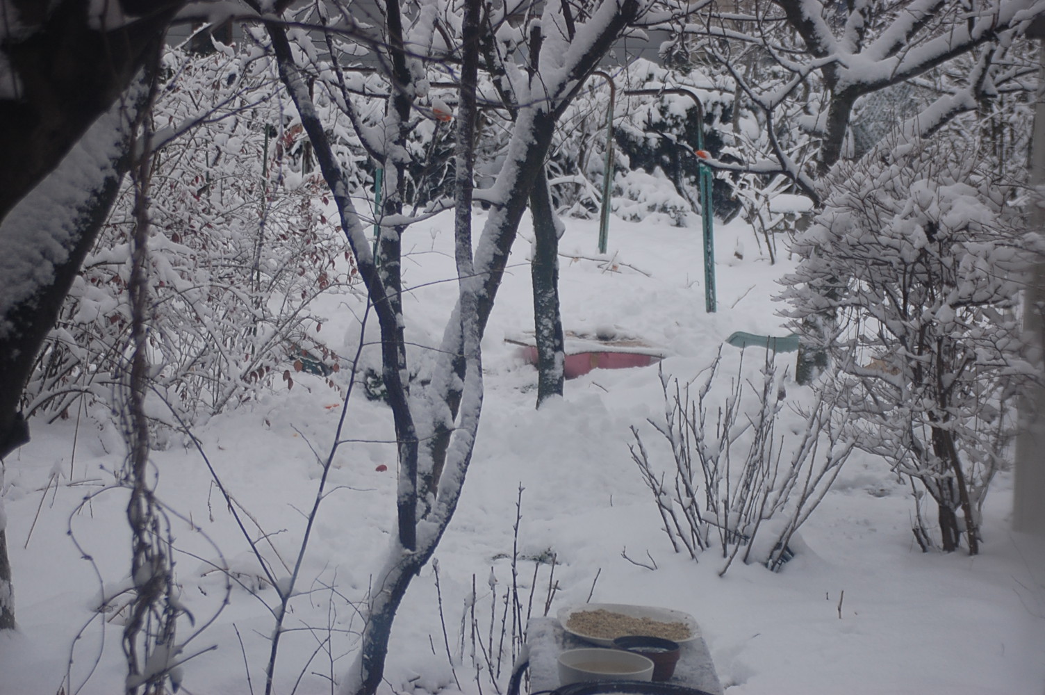DSC_0573.JPG