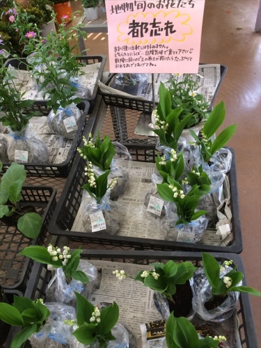 20150426 14231301.JPG