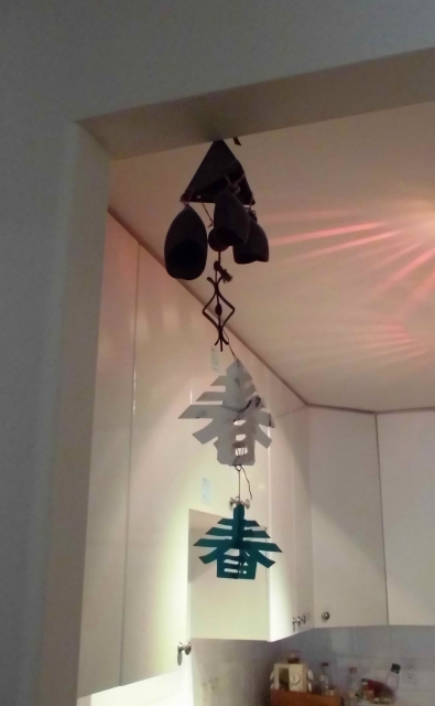 spring has come to my kitchen.jpg