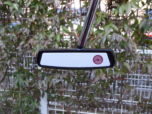 White Ice iX #5CS F.jpg