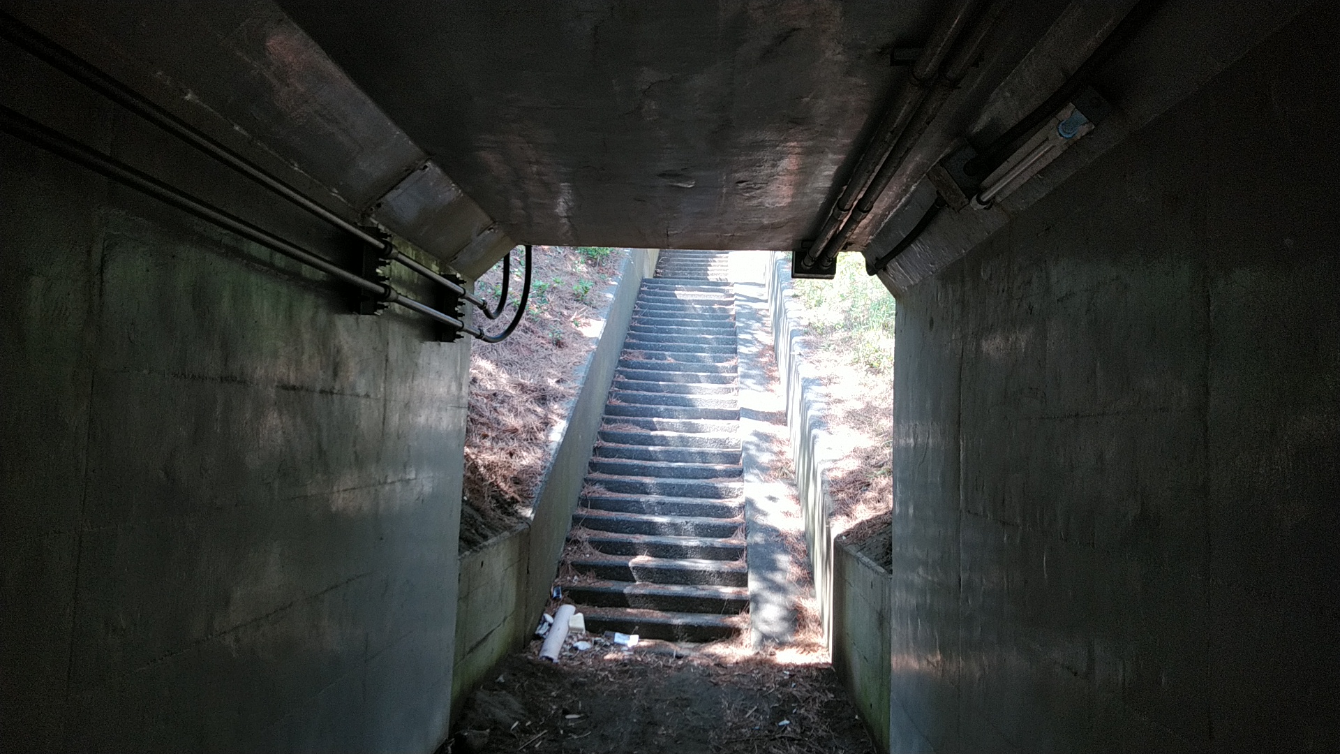 20200511  DSC_0012.jpg.jpg