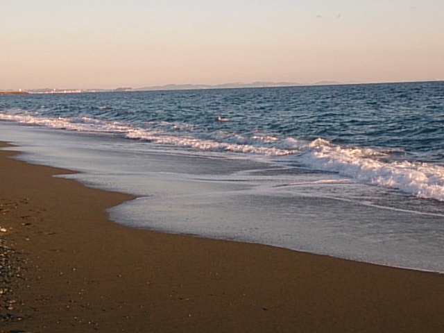 20180106  DSC_0007.jpg