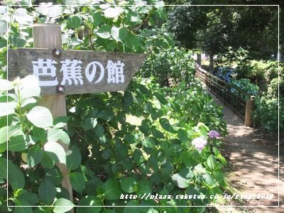 DSCF7907.JPG