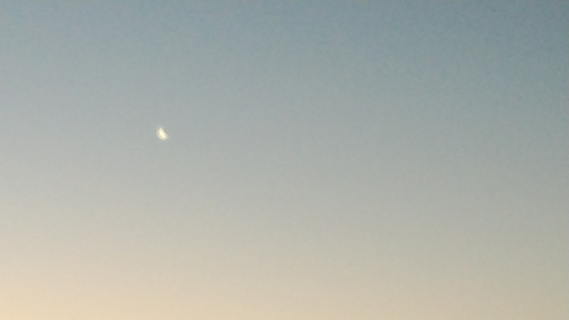 20190202  DSC_0001.jpg.jpg