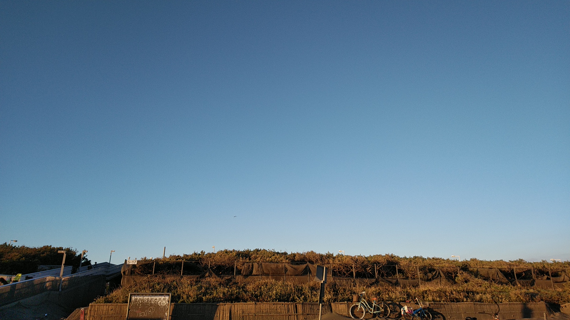 20191013  DSC_0004.jpg.jpg