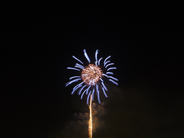 淀川花火大会2016_まさに火の花.JPG