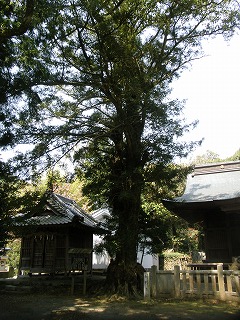 P4180804.jpg