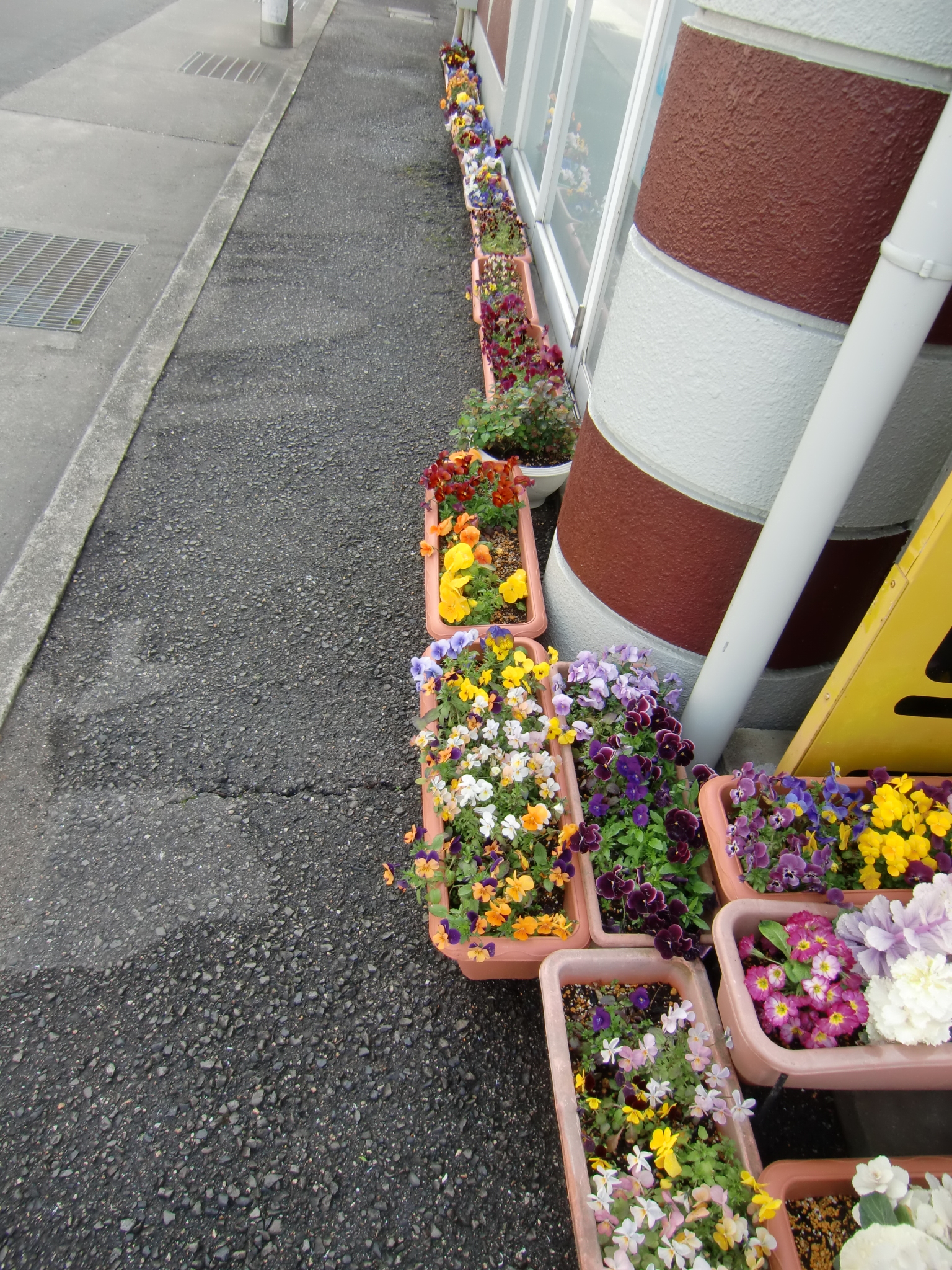 CIMG2538(V.2014_04_02__11_51_49).jpg