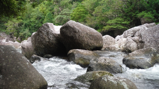 DSCF5706 (640x360).jpg