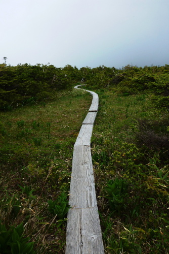 田代山を守る420140524.jpg