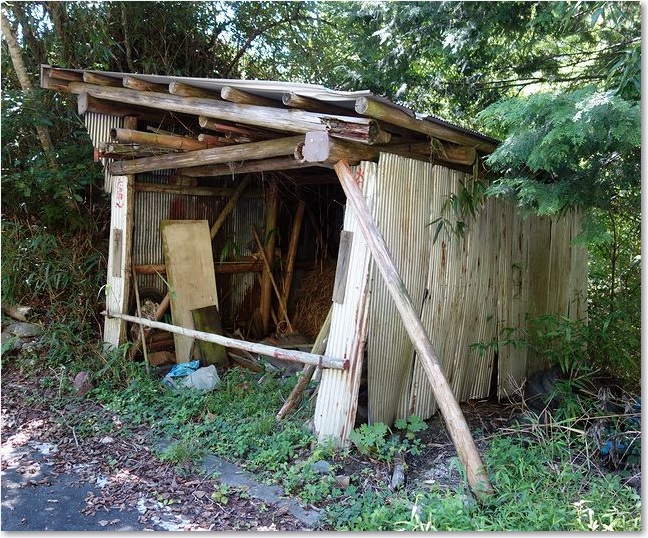55廃小屋？