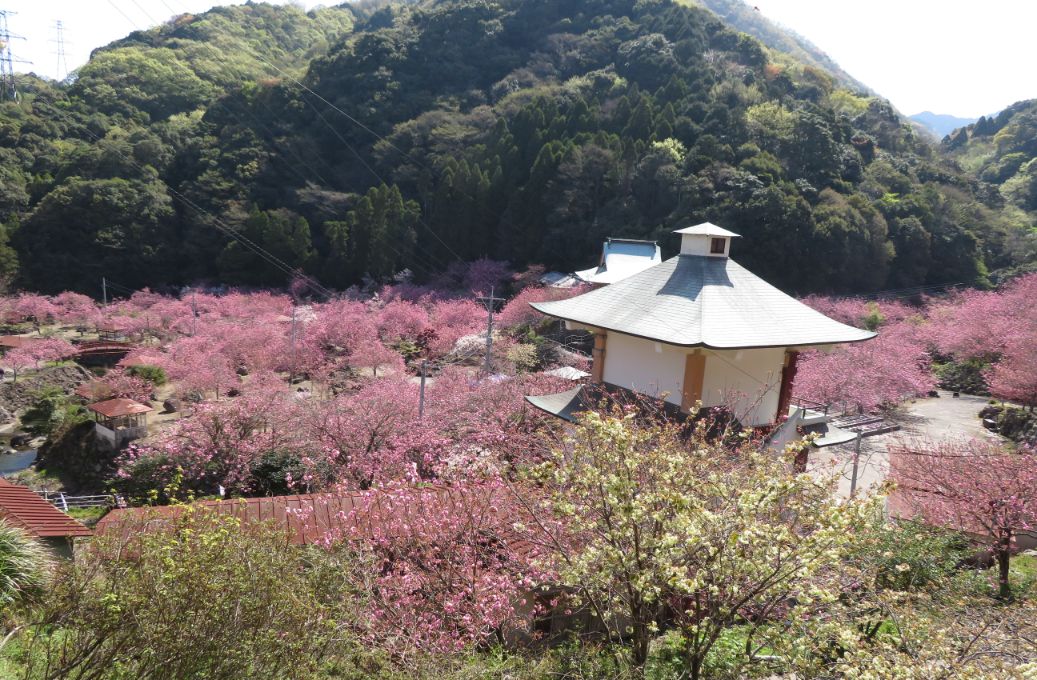 一心寺 (12).jpg