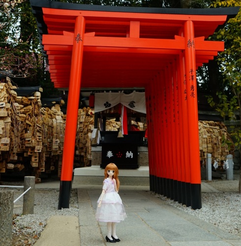 北野天満宮　梅まつり　陽菜ちゃん 天満宮と鳥居.jpg