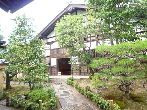 P1030371.jpg