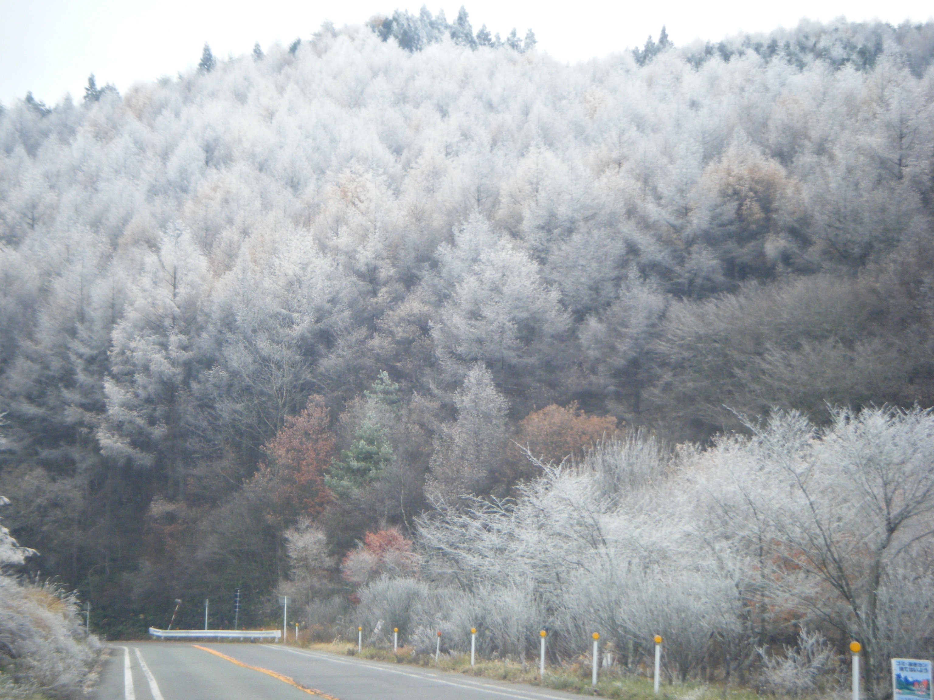 2012_11210010.JPG