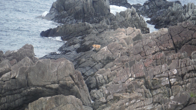 DSCF7298 (640x360).jpg