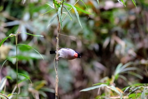 3E1A55212012ウソ.JPG