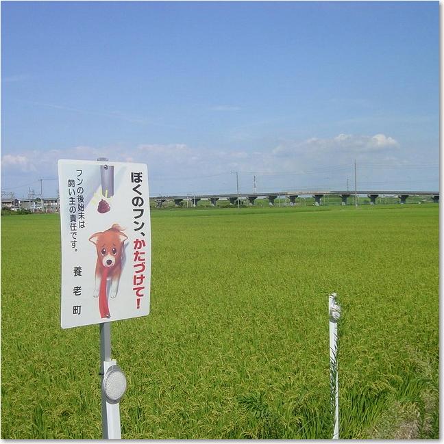 07まわりは田んぼ