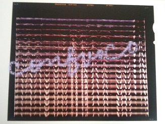 megei 2015 eigadenai2.jpg