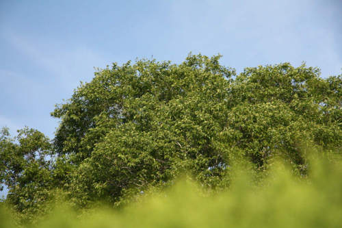 DPP_20150503_0001_1 (1).jpg