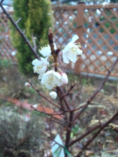 120317_071451.jpg