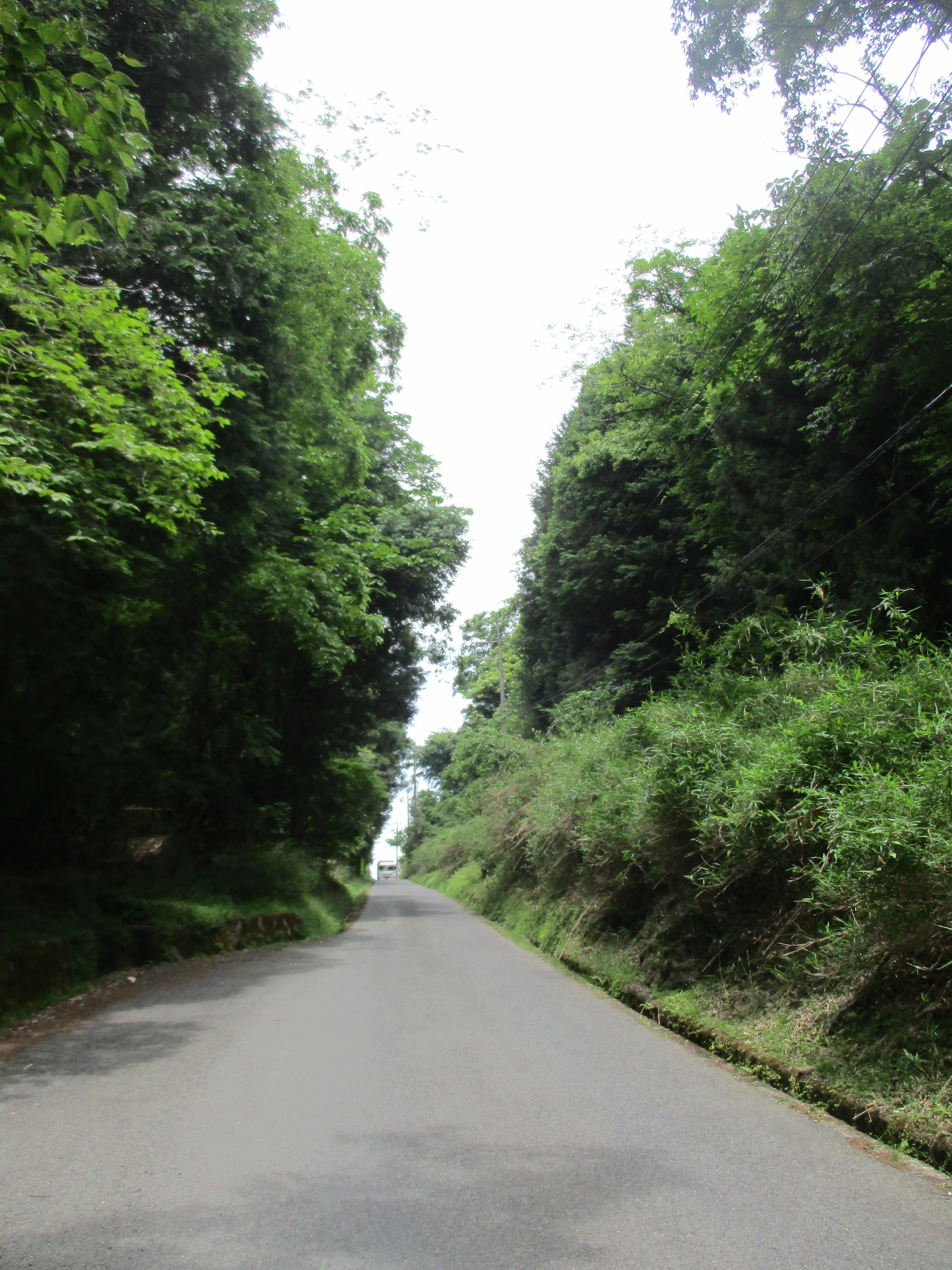 4079峠越_4079.jpg