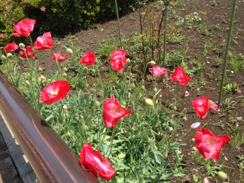 IMG_9073 (640x480).jpg