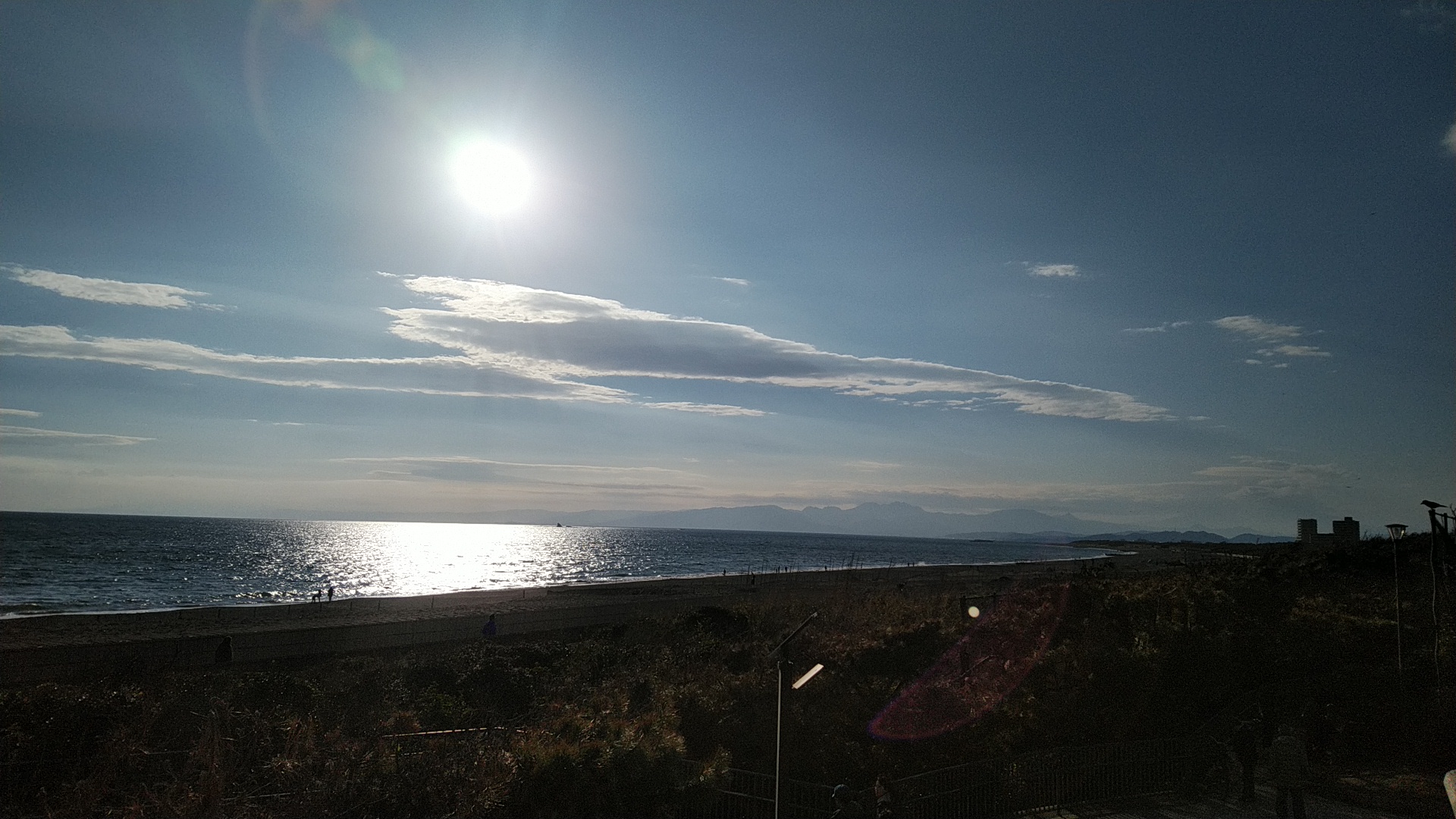 20190203  DSC_0001.jpg.jpg