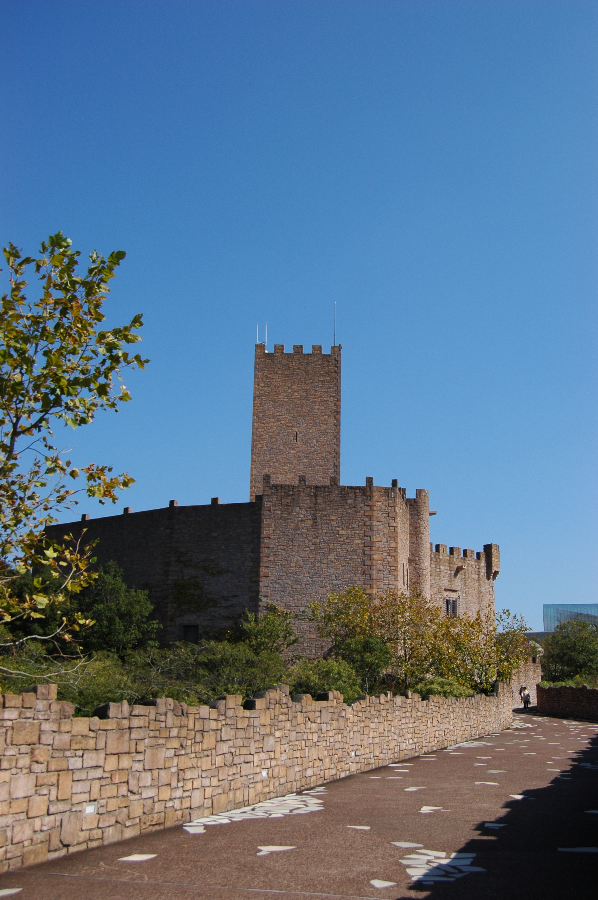 DSC_1870.JPG