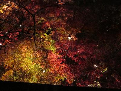 清水寺5.JPG