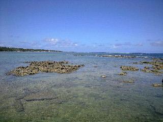 201407291934_2795_iphone.jpg