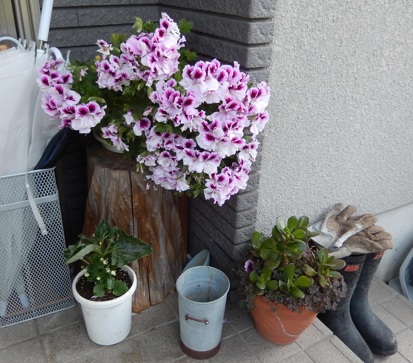 140510-1-1.jpg