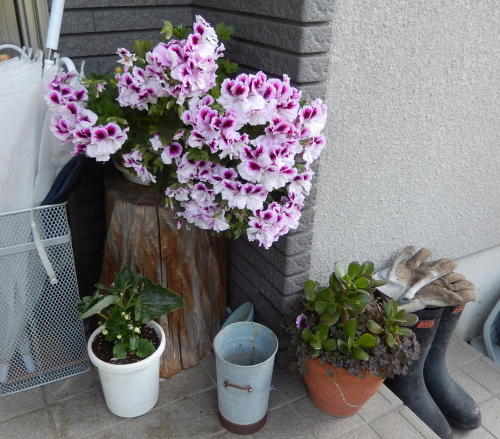 140510-1-1.jpg