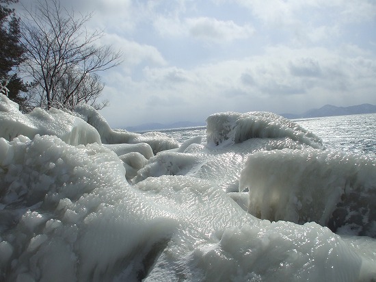 DSCF4598.jpg