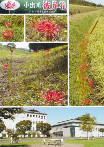 2013年9月の出来事（寒川神社）5.JPG