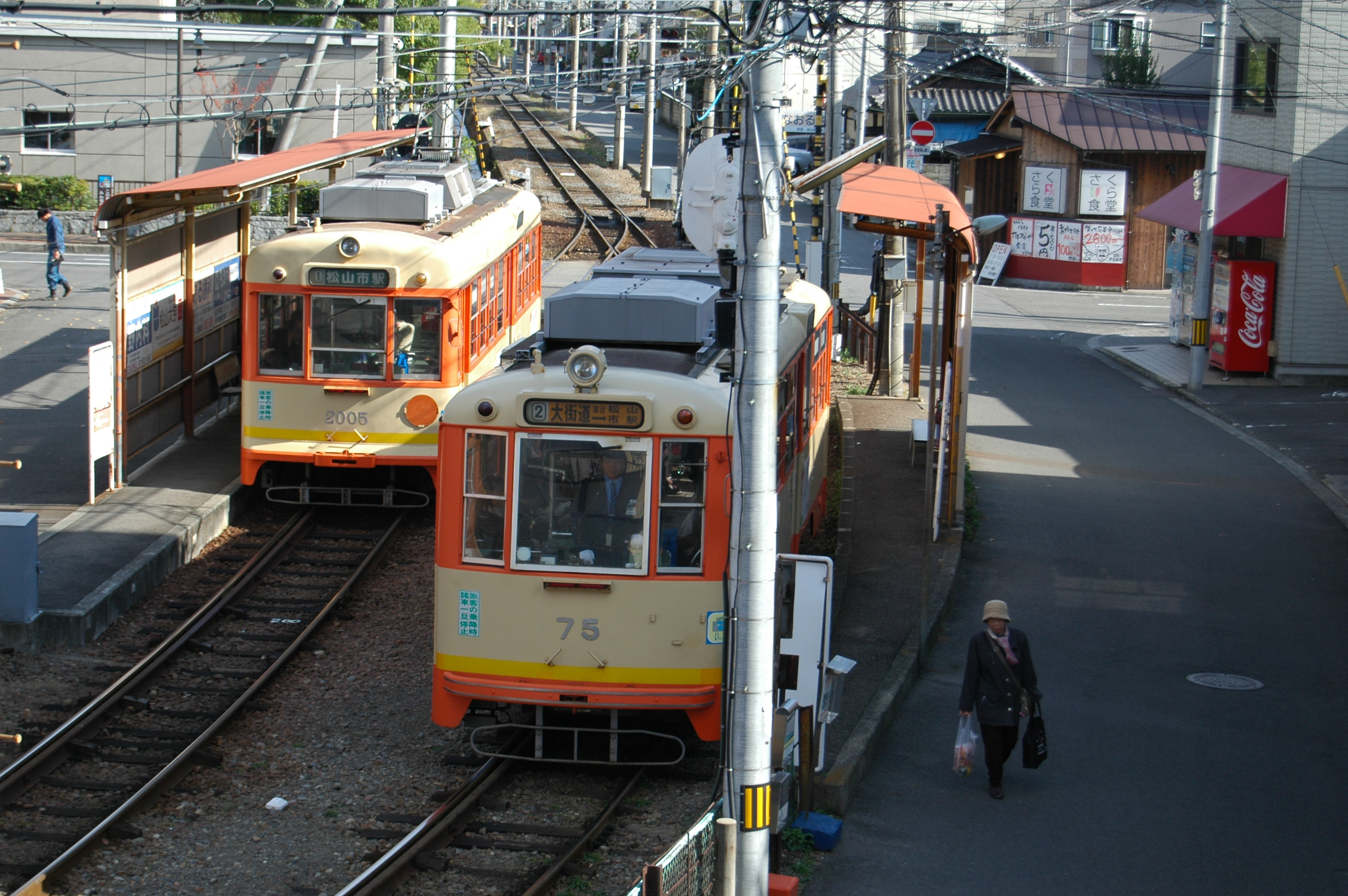 DSC_7345.JPG