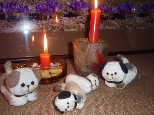 キャンドルとその周辺 004.jpg